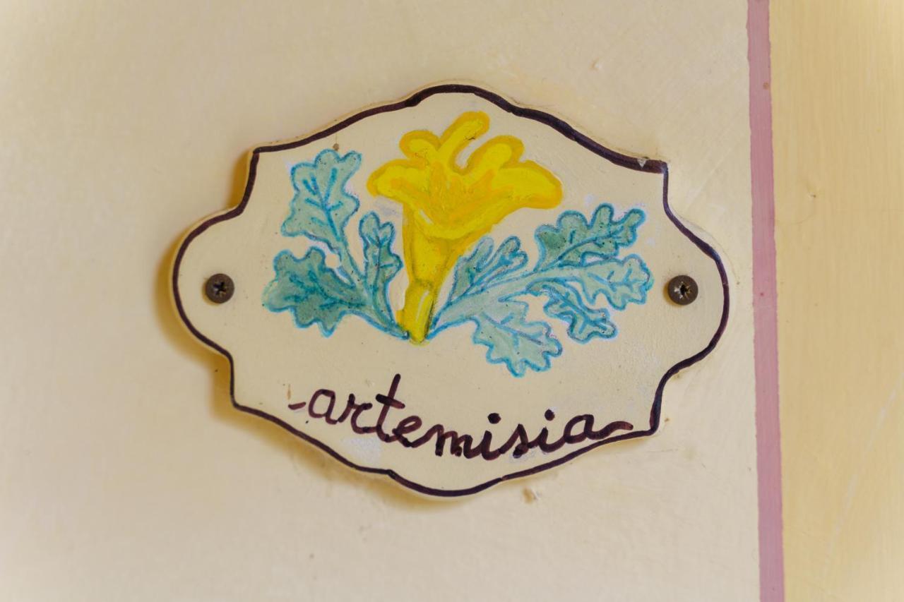 Agriturismo Ca'Mazzetto Valfabbrica Ngoại thất bức ảnh